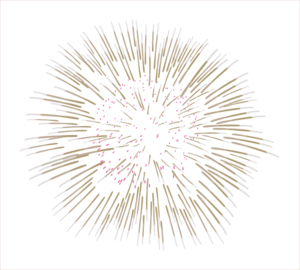 fireworks_PNG15678.png